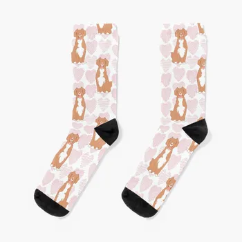 Love Nova Scotia Duck Tolling Звученето Toller - Чорапи На Розов Фон, Бели Мъжки Чорапи, Подарък Градинска Облекло По Поръчка, Забавни Чорапи в стил Арт