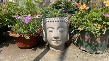 Саксии във формата на главата на Буда: Мултифункционален контейнер от цели камъни - Здрава циментова конструкция за сукуленти, свещи или тави за домашни любимци