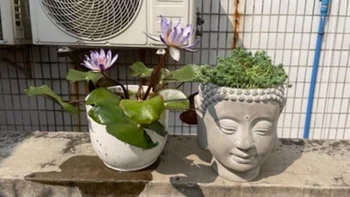 Саксии във формата на главата на Буда: Мултифункционален контейнер от цели камъни - Здрава циментова конструкция за сукуленти, свещи или тави за домашни любимци