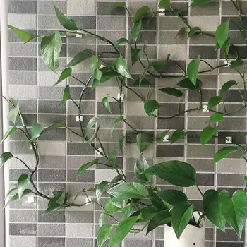 Стена за катерене с флорални растение, Самозалепващи фиксирана обтегач, държач на куката, Крепежное тела, обтегач за грозде, градински аксесоари B4